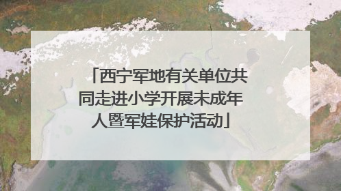 西宁军地有关单位共同走进小学开展未成年人暨军娃保护活动